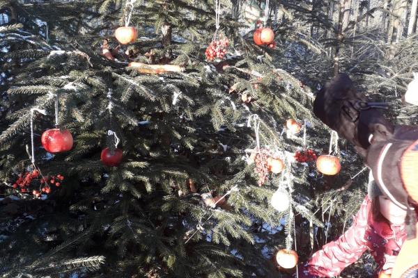 Stromeček pro zvířátka a vánoční besídka