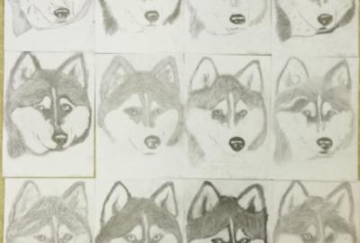pes husky-srst