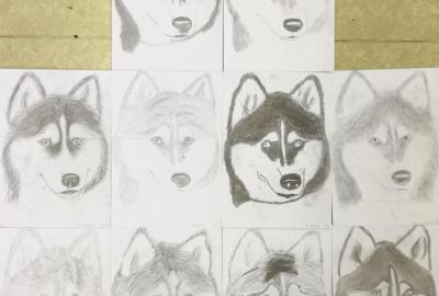 pes husky-srst