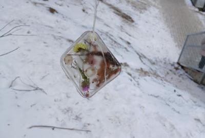 ledová ozdoba, zavěšená na školním dvoře