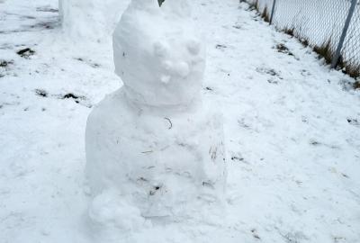 sněhová kočka - autorky: Eliška S., Jůlie S., Emma O.